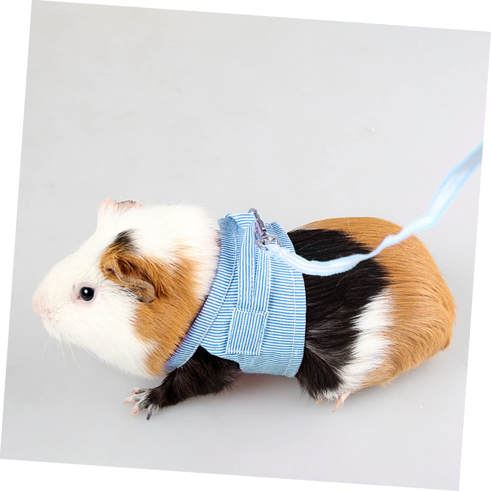 minkissy 3stücke Tiergeschirr Mit Leine Für Meerschweinchen Und Kaninchen Verstellbare Baumwoll-Weste Outdoor-Bekleidung Für Chinchillas Ratten Eichhörnchen Und Frettchen s Blau