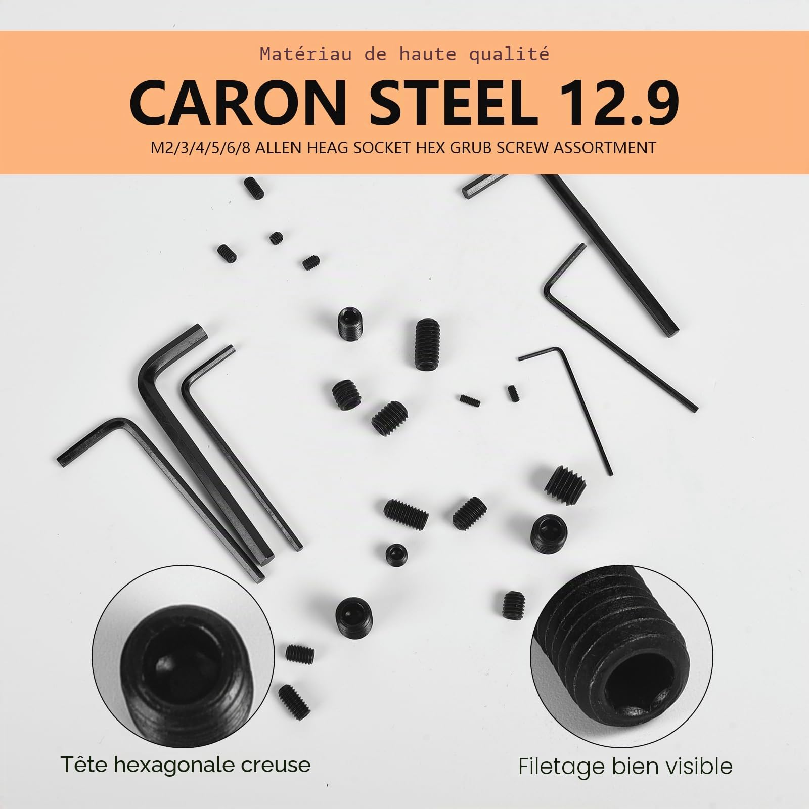 Lot de 666 vis sans tête à six pans creux M2 M3 M4 M5 M6 M8 Vis sans tête à six pans creux Vis vers Allen Acier au carbone Assortiment de vis sans tête avec clé Allen