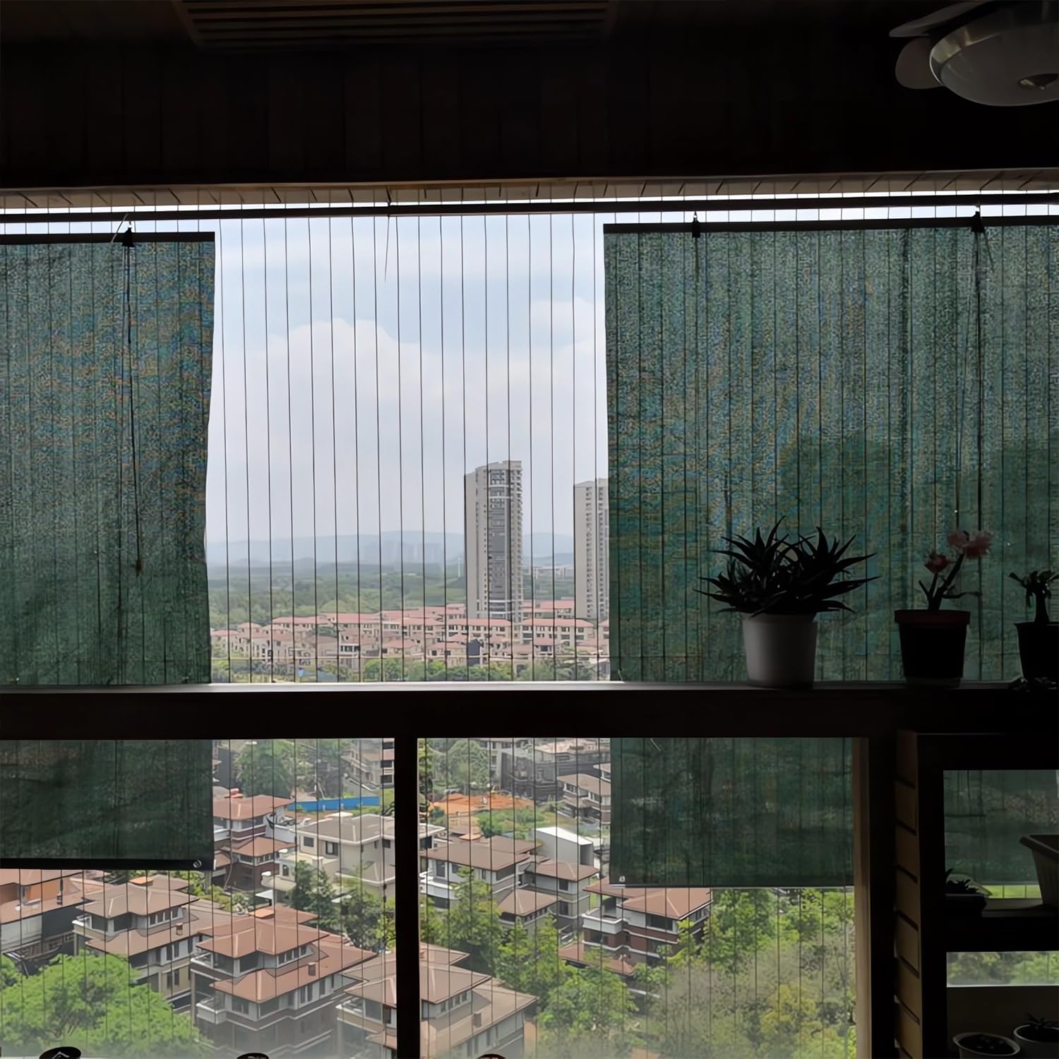 View 3