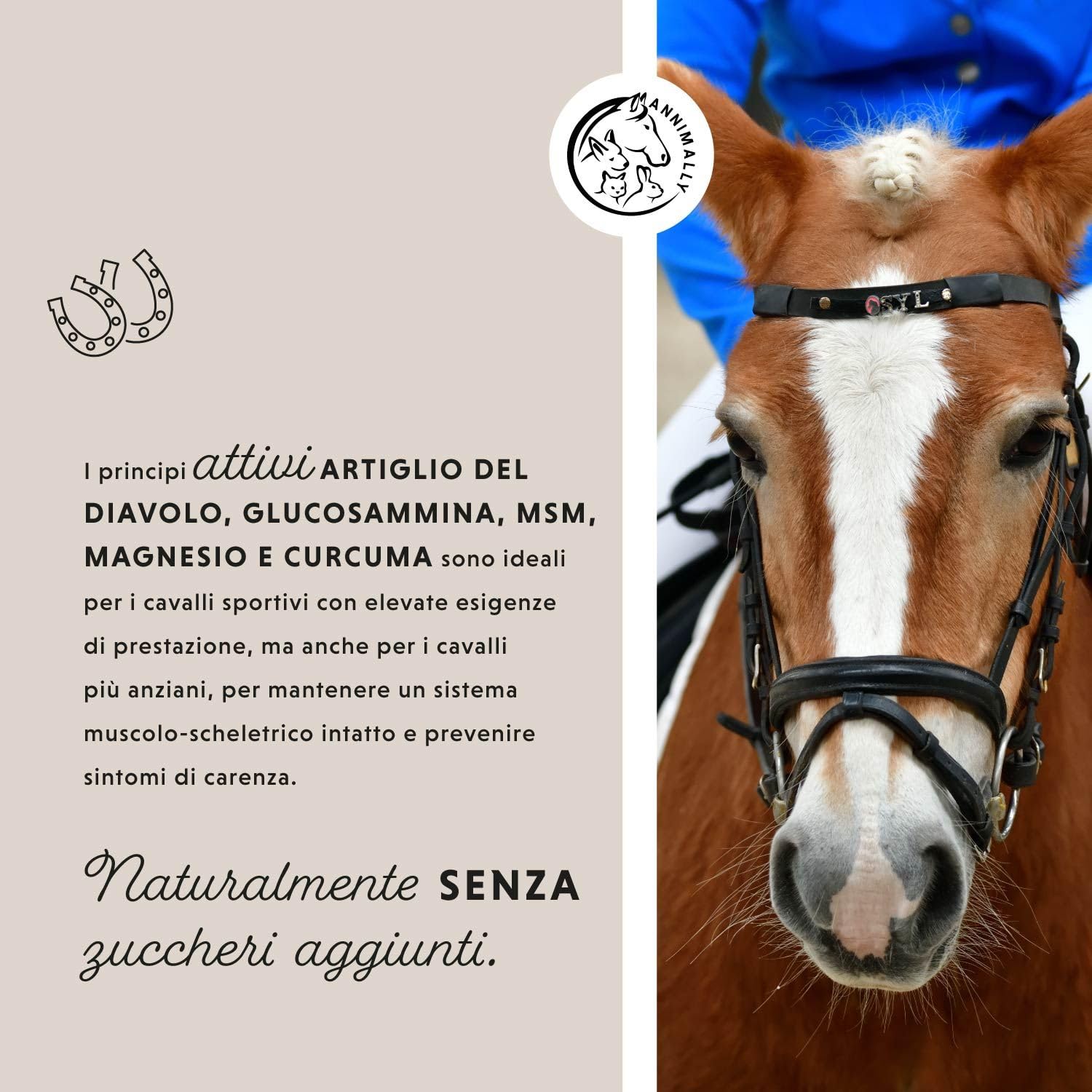Liquido articolazioni per cavalli 1000ml con artiglio del diavolo cavallo, glucosamina e MSM cavallo (zolfo) liquido- Per il rafforzamento delle articolazioni del cavallo- msm integratore per cavalli