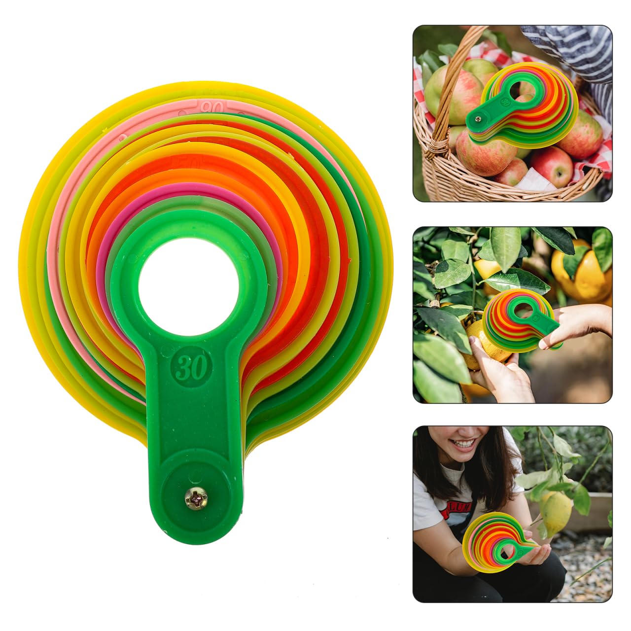 Misuratore Di Diametro Per Calibro Di Misurazione Anello Agrumi Plastica Arancione