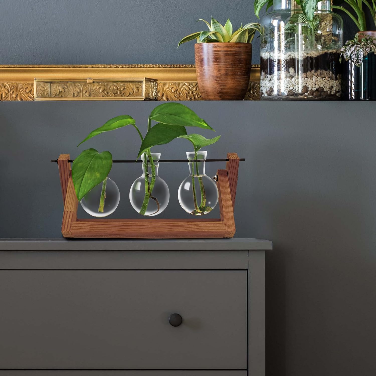 Winkee - Hydrovase Blossom | 3 x Flower Vase with 1 x Wooden Stand | Table Planter | Modern Decoration | Glass Propagation Station | Plant Glass | Root Glass Vase | Gift for Mother's Day, Birthday