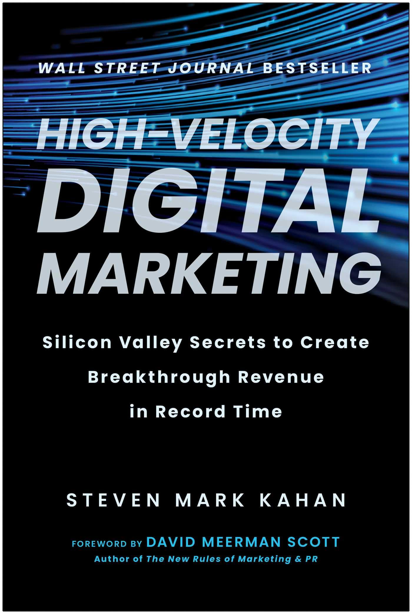 High-Velocity Digital Marketing: Silicon Valley Secrets to Create Breakthrough Reve