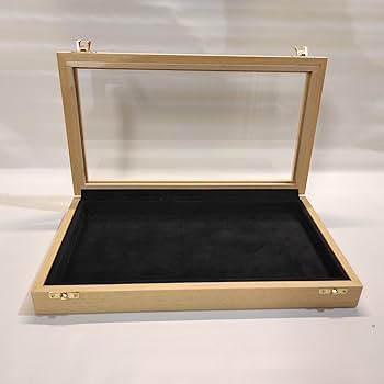 Amazon | 木製とガラスのディスプレイケース 化石シェルナイフ