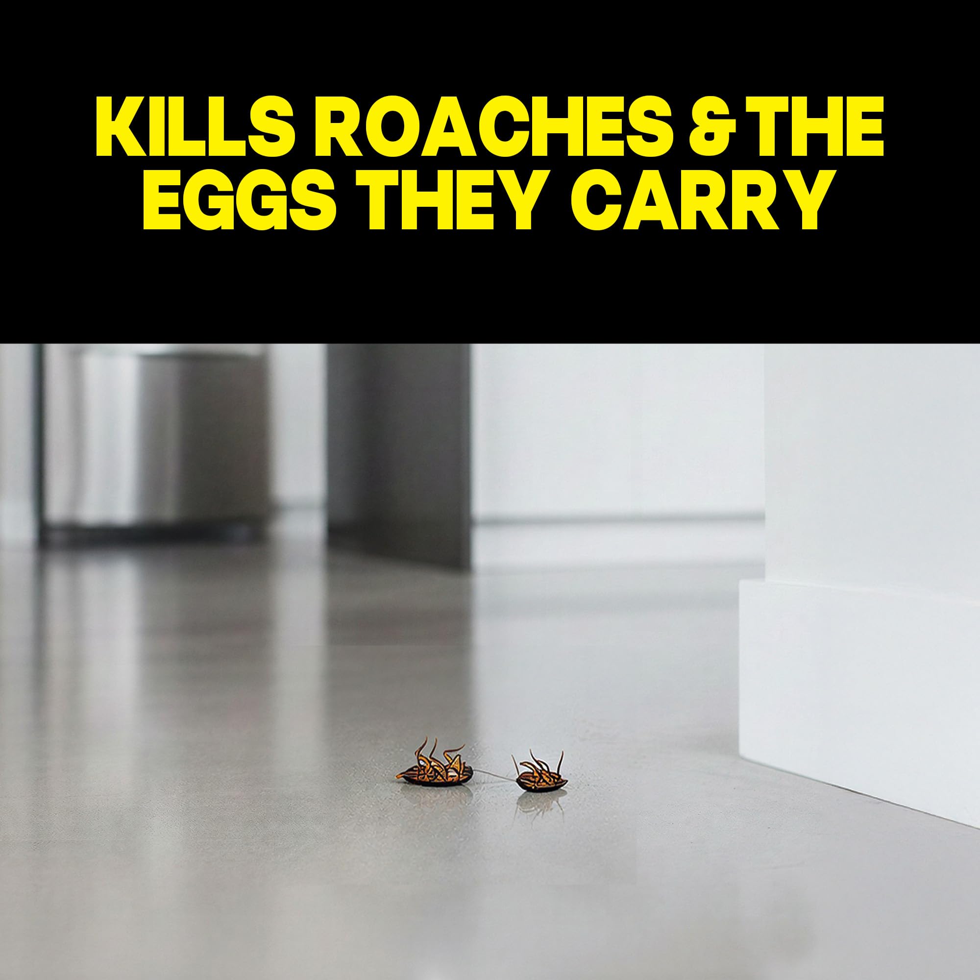 Raid Double Control Roach Bait - Kill Entire Nest -3