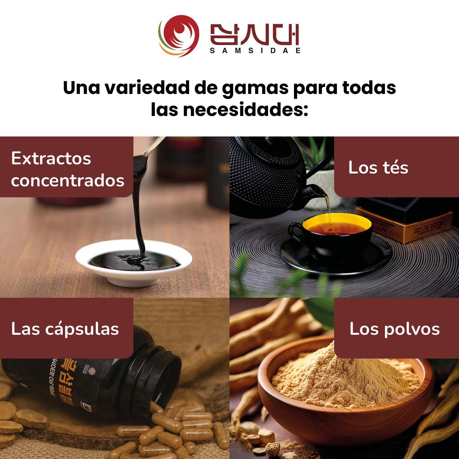 SAMSIDAE - Extracto Gold de Ginseng Rojo Coreano, Máxima Concentración en Ginsenósidos 13 mg/g, Raíces de 6 Años, 8 Meses, 240g