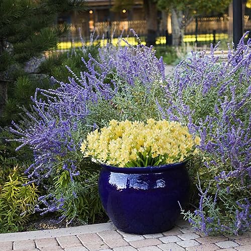 Miniatura 7 de 22 paquetes de flores artificiales de narcisos, vegetación artificial artificial, resistente a los rayos UV, no se decolora, plantas de plástico