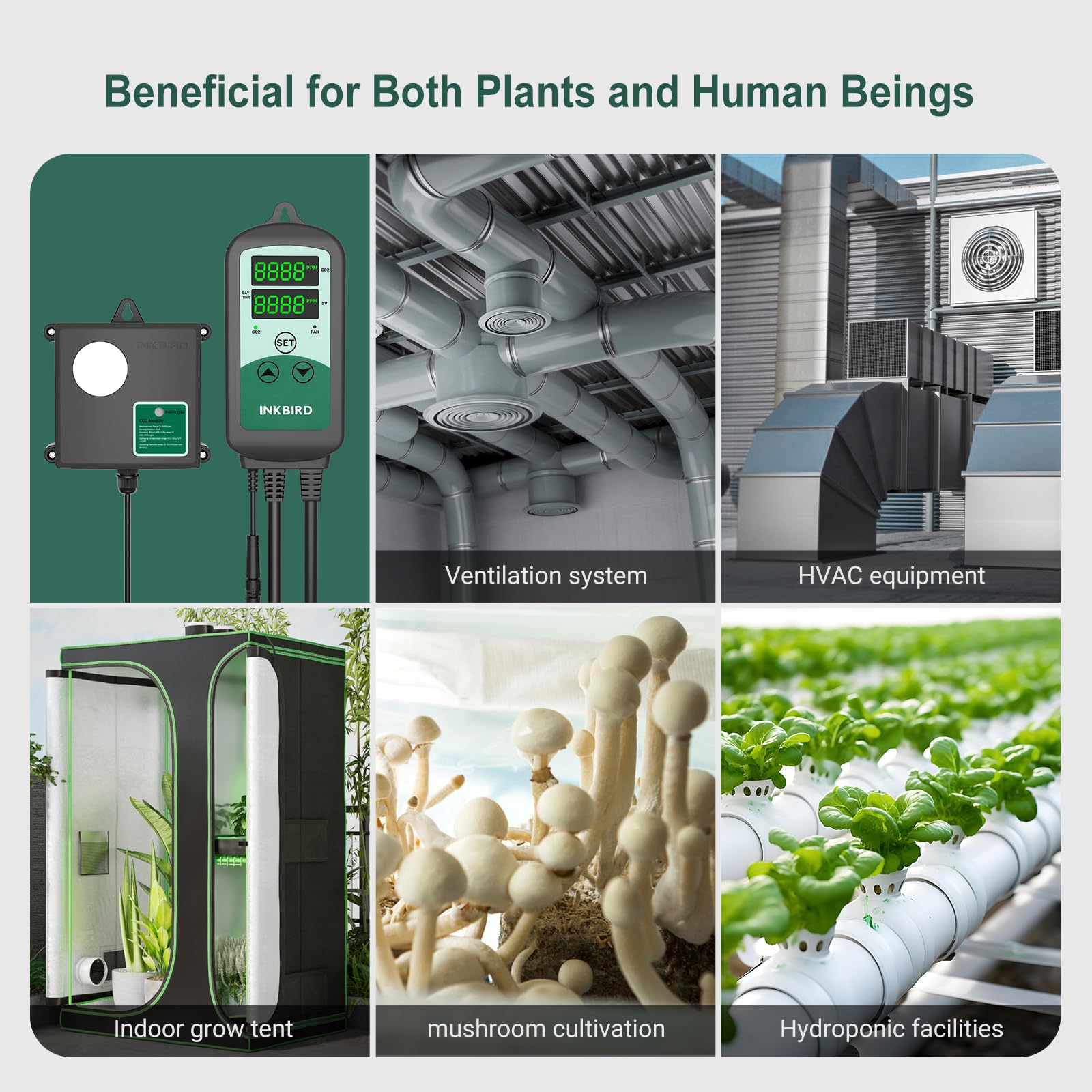 Inkbird ICC-510 Controlador de dióxido de carbono, medidor de CO2, regula el contenido de CO2 para cultivo de invernadero y ganadería