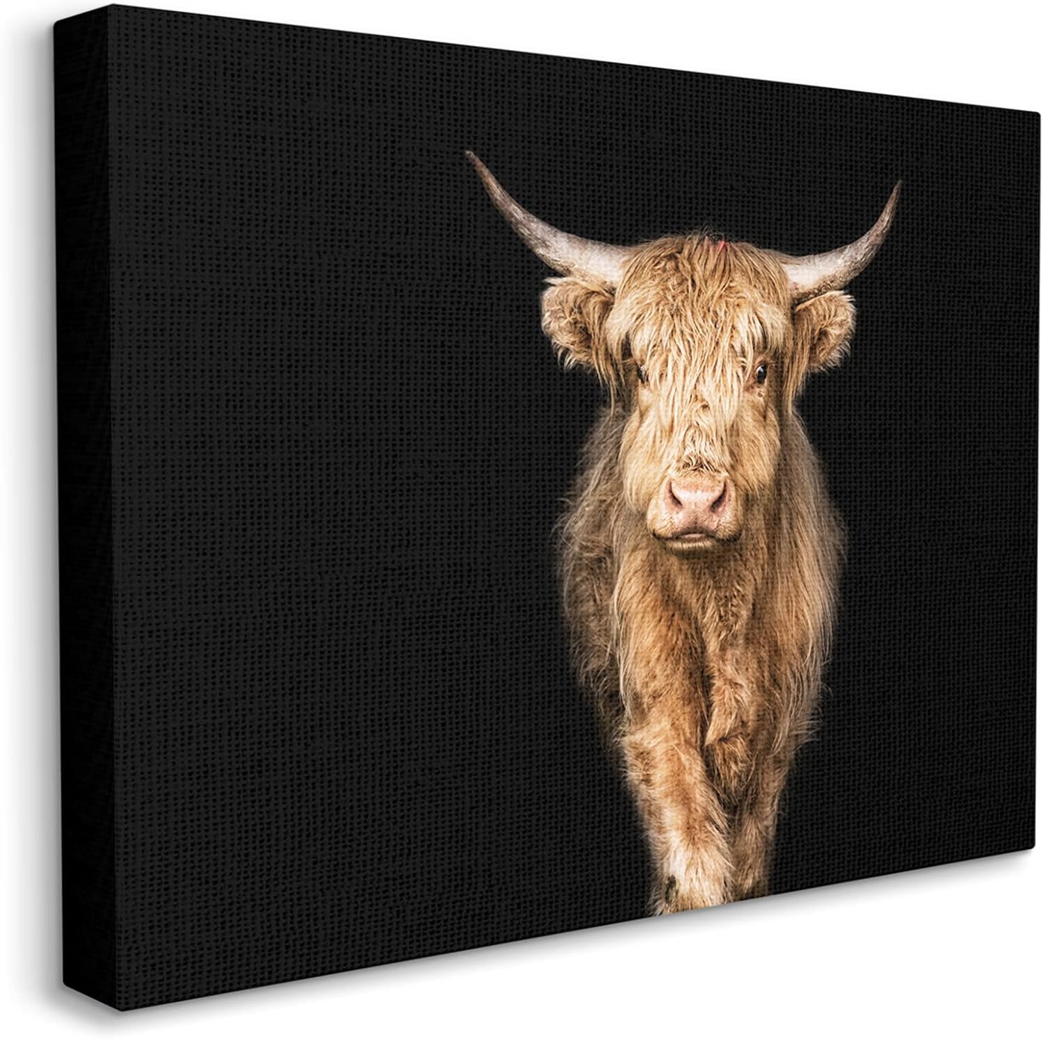 Stupell Industries Modern Cattle Portrait Minimal Farm Animal Photography