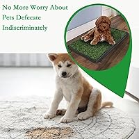 Vista 6 de LOMANTOWN Orinal de césped para interiores, almohadilla reutilizable de hierba para perros con bandeja, caja de arena para perros de 25 x 20