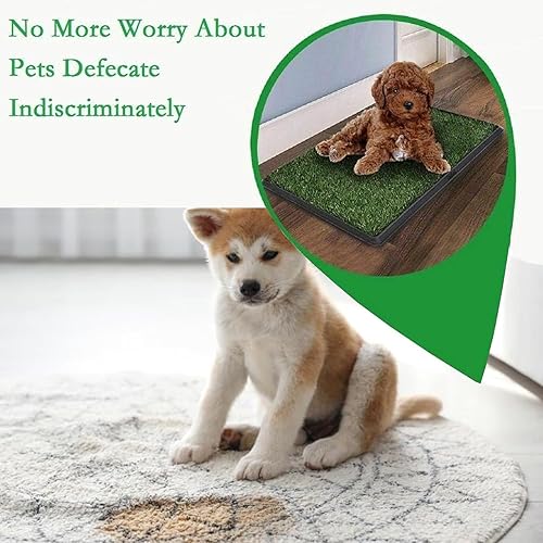 Miniatura 6 de LOMANTOWN Orinal de césped para interiores, almohadilla reutilizable de hierba para perros con bandeja, caja de arena para perros de 25 x 20
