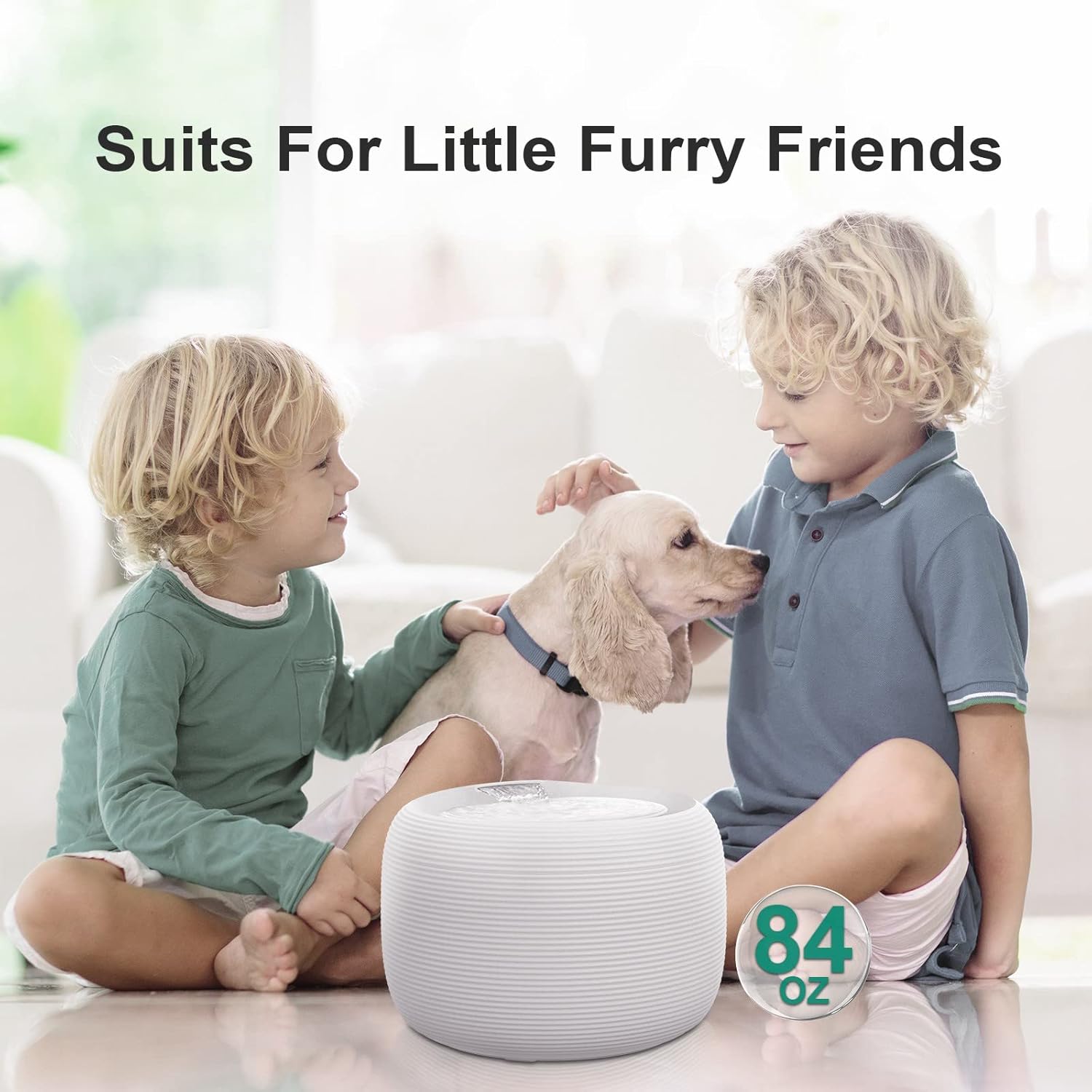 Cat Water Fountain, 84oz/2.5L Pet Water Fountain for Cats Inside, Ultra Quiet Automatic Cat Water Dispenser, Silent Pump with Dry-Run Protection, Dual Mode for Cats, Small Dogs : Pet Supplies
