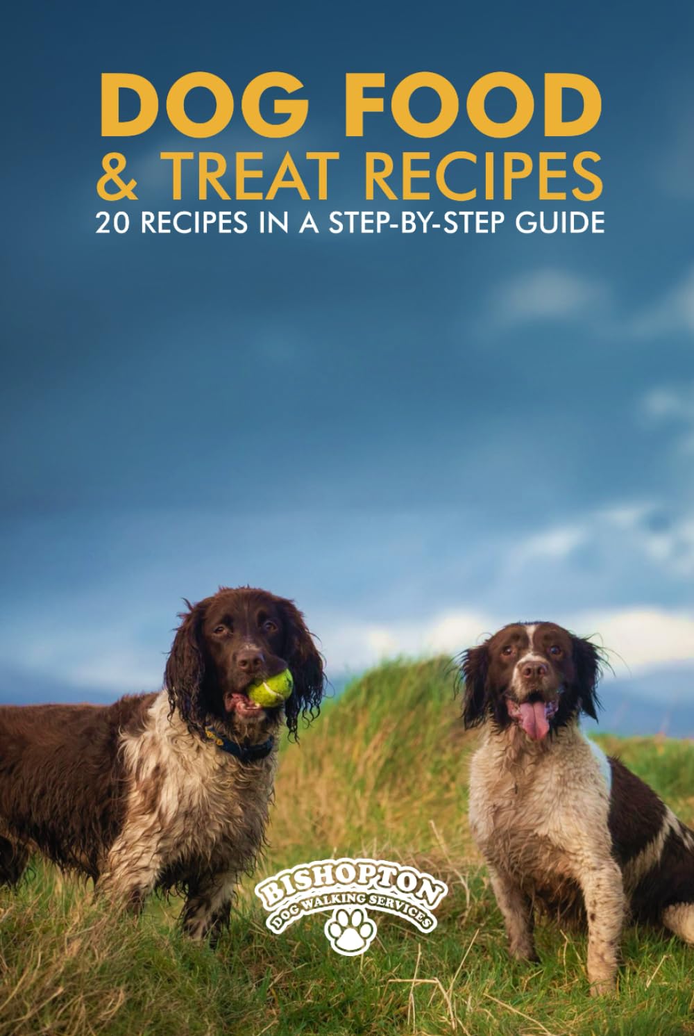Dog Food & Treat Recipes