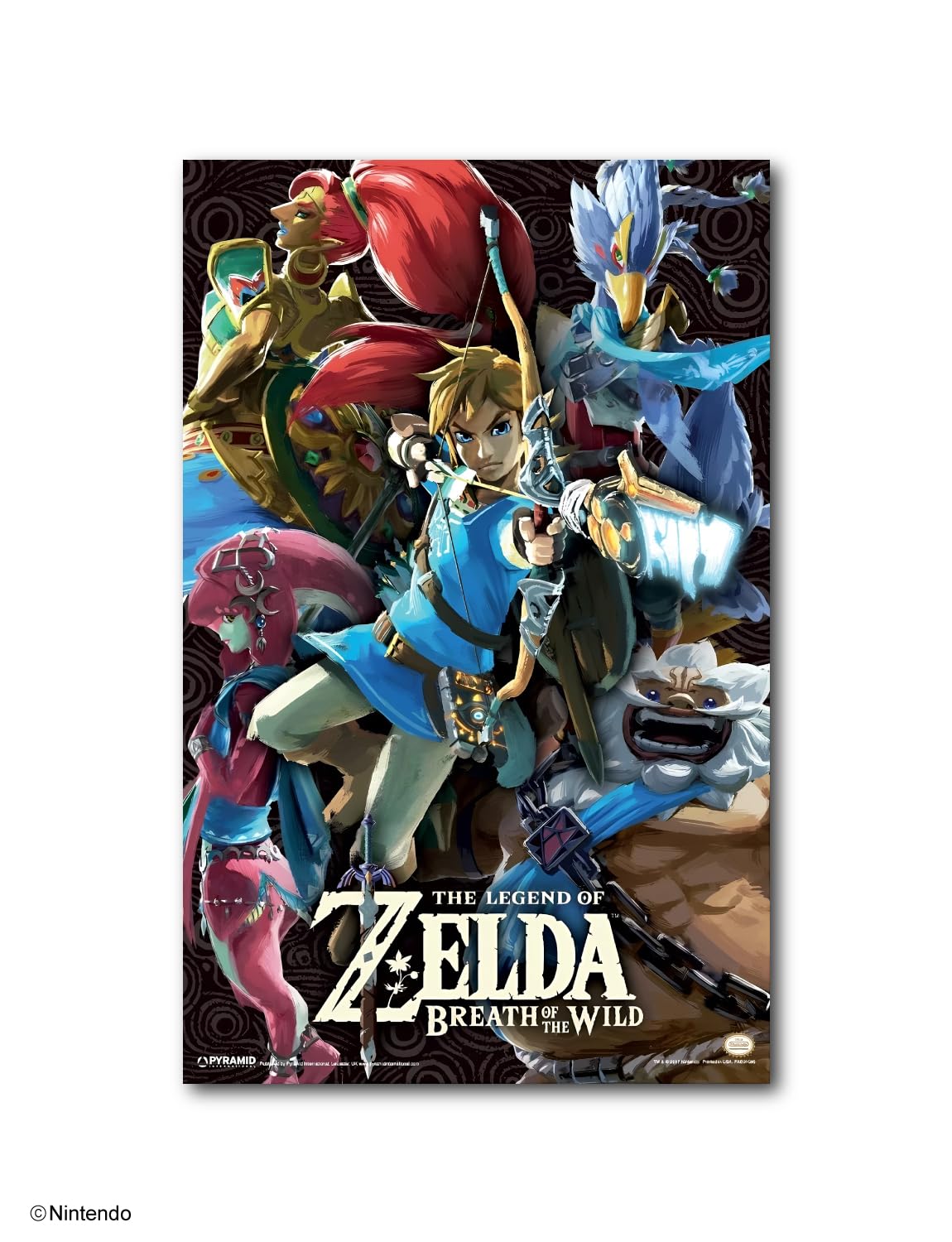 Zelda Breath of the Wild Map Poster Review: Hyrule Decor