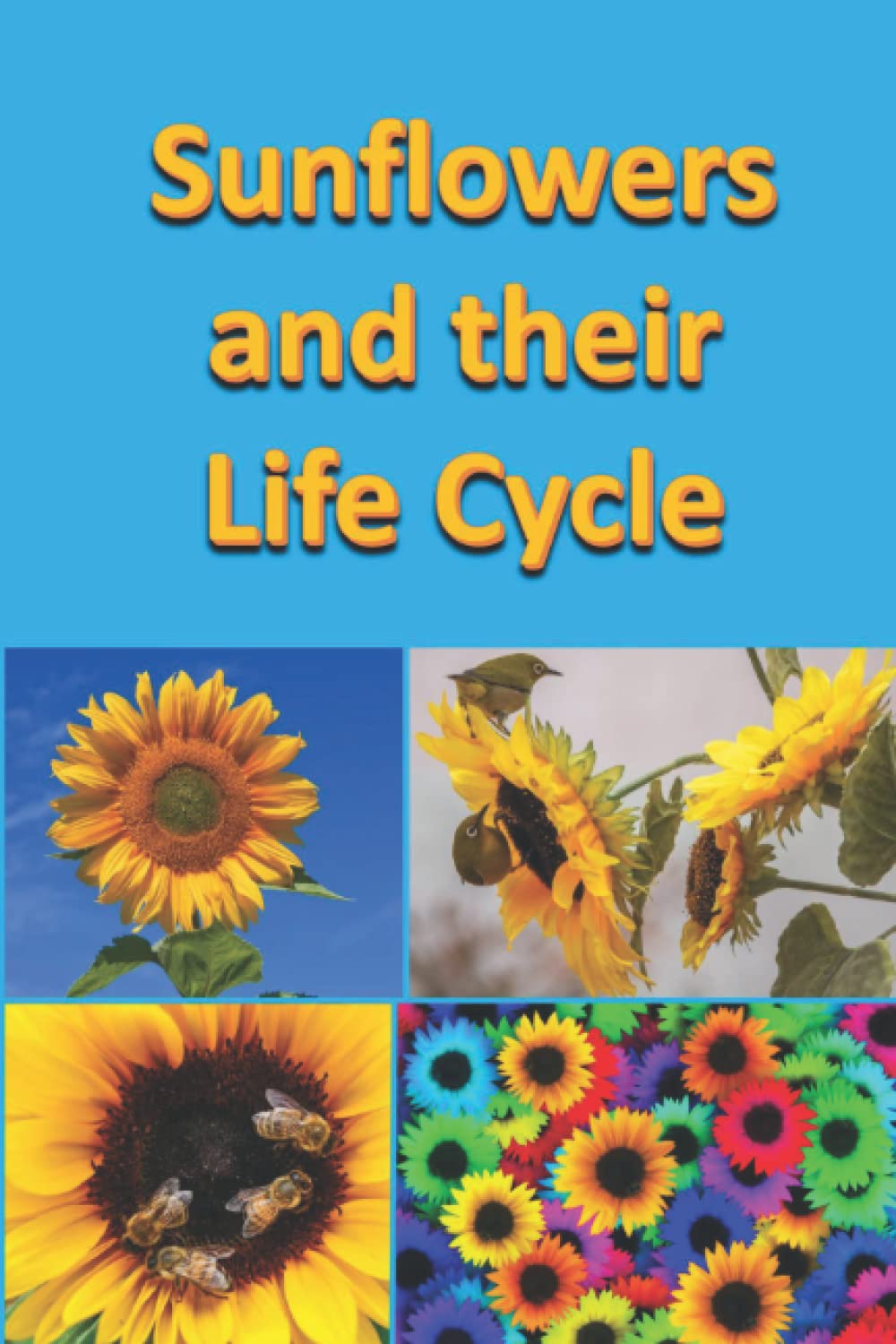 Sunflowers and their Life Cycle (Plants)