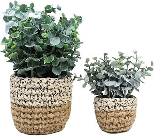 Miniatura 4 de Ebros Gift Juego de 3 plantas de eucalipto botánica artificiales realistas en macetas tejidas con textura, plantas sintéticas, hojas, helechos,