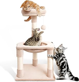 Sponsored Ad - Small Cat Tree for Kittens, LIOOPET 30 Inches Short Cat Tree with Hammock and Scratching Post, Small Cat To...