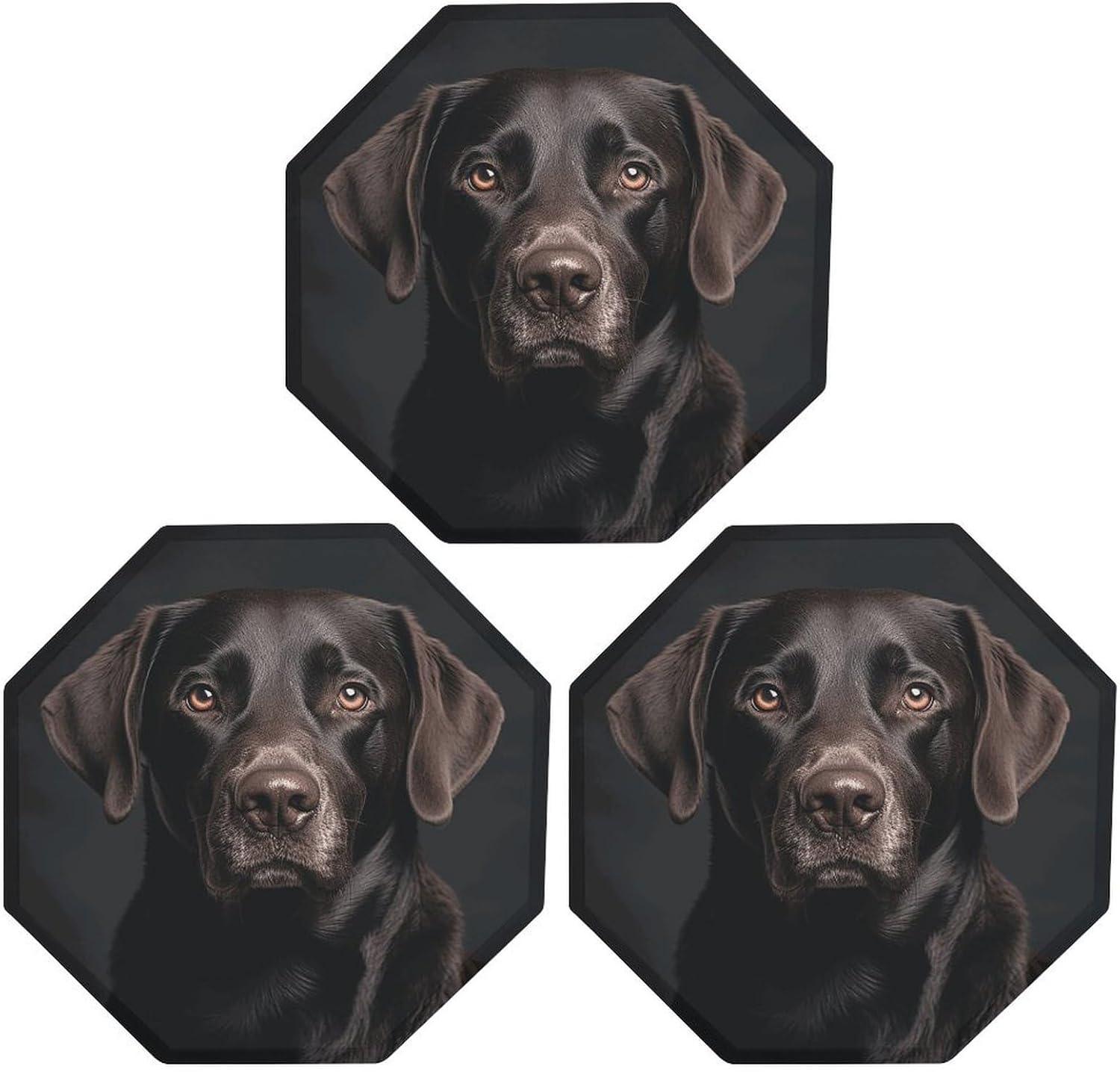 Ctagon Metal Sign for Home, Modern Display Plate for Kitchen, Black Lab Dog Plates Accent Hanging Wall Decorations 3PCS for Living Room, Bedroom, Hallway, Hotel