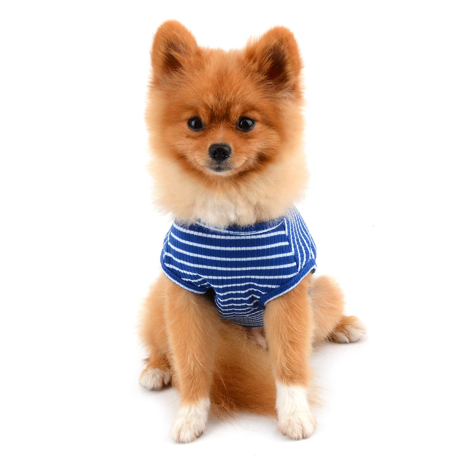 PAIDEFUL Vêtements pour Petits Chiens Garçon Fille été rayé Chiot t-Shirt Gilet Respirant Coton t-Shirt sans Manches Chihuahua Yorkshire Bleu M