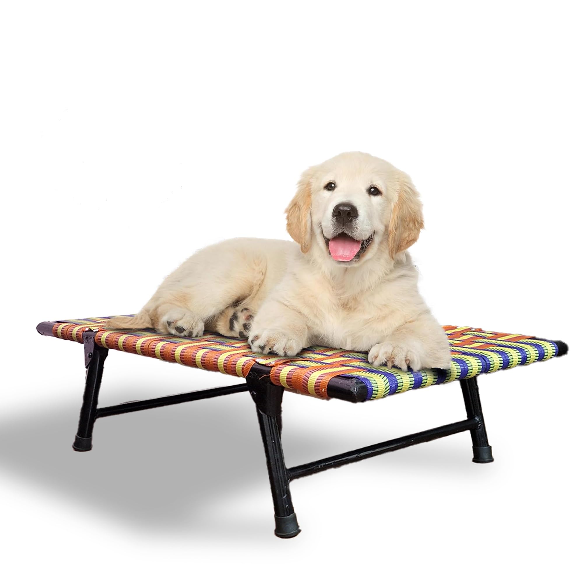 PETSAPIENS Folding Elevated Dog Bed Small Size (36x24x8 Inch) | All-Seasons Comfort with Breathable Nylon Mesh | Cot Bed for Dogs and Cats I Anti-Skid and Waterproof Bed for Dogs |Multicolor (B0DHJGSHDR) Amazon Price History, Amazon Price Tracker