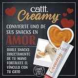 Ver la foto 5