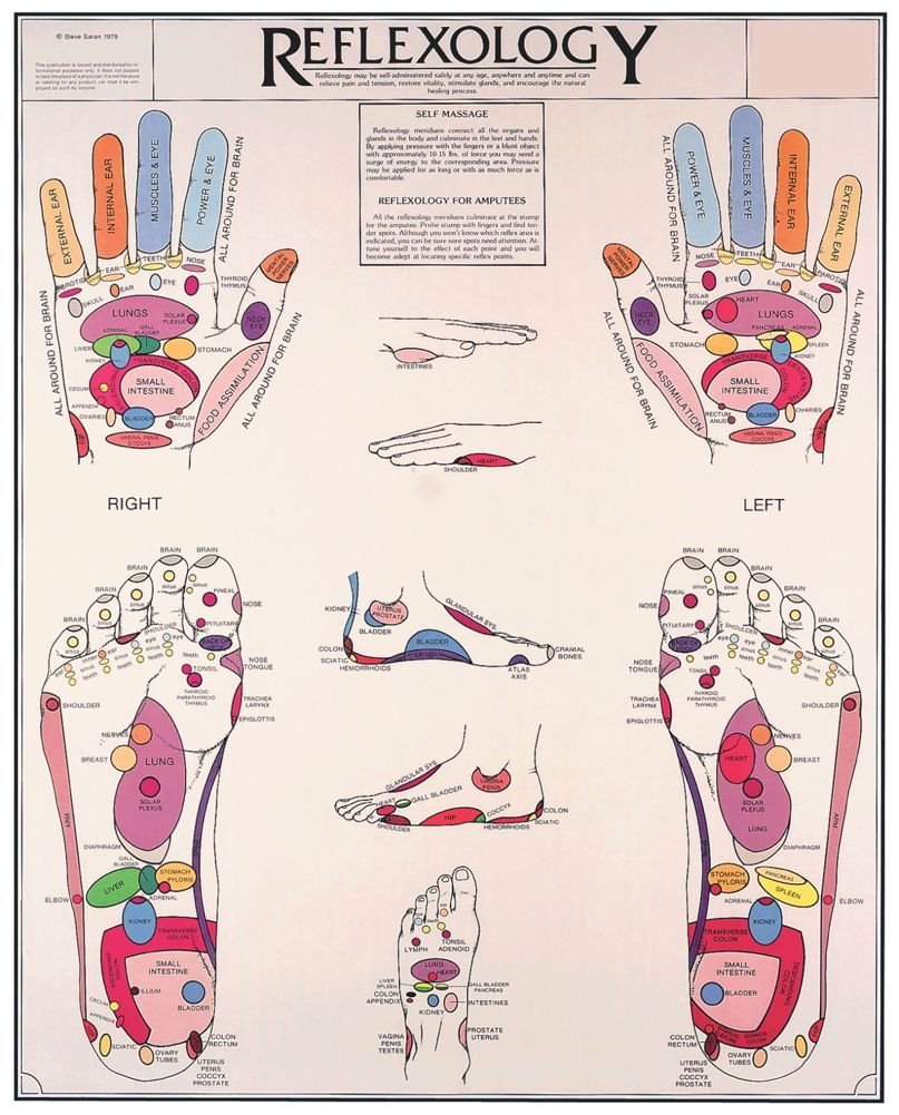 Reflexology Chart