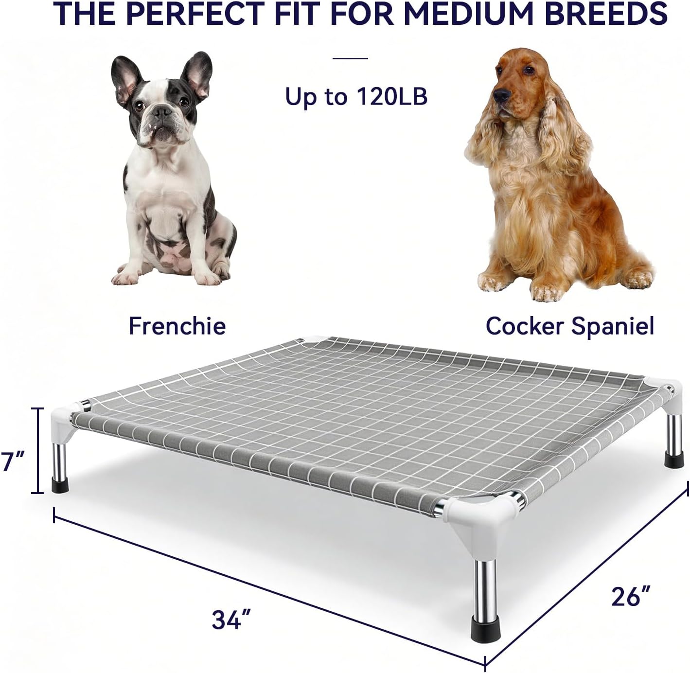 Elevated Dog Bed Pet Cot - Dog Cots Beds for Medium Dogs | Detachable Raised Cat Dog Pet Bed for Medium Dogs