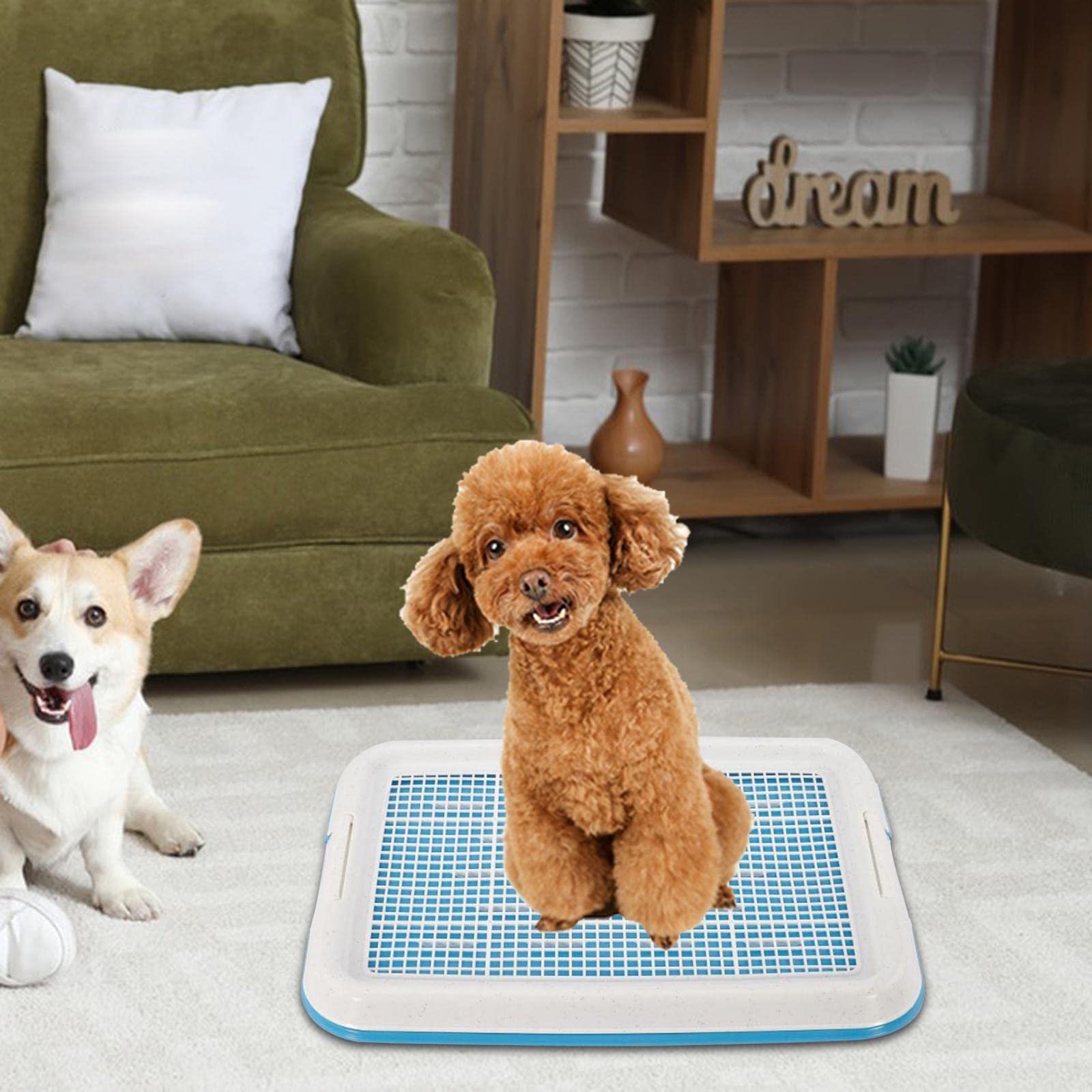Chien Pot Toilette Formation Plateau Maille Pot Formation Plateau Chiot Pipi Support Coussin Pot entraîneur pour Chiots, Bleu