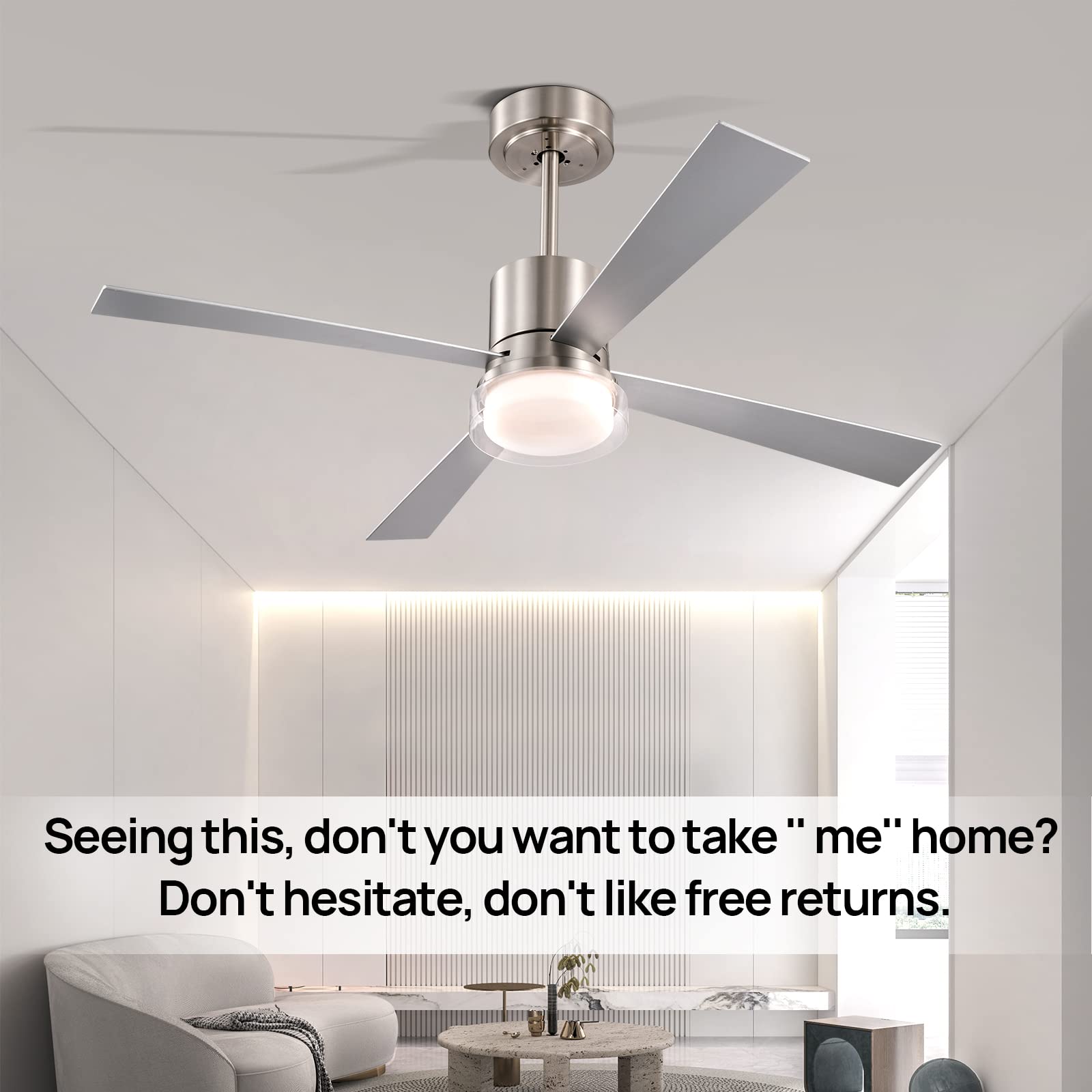 https://m.media-amazon.com/images/I/716X54S0PQL.jpg