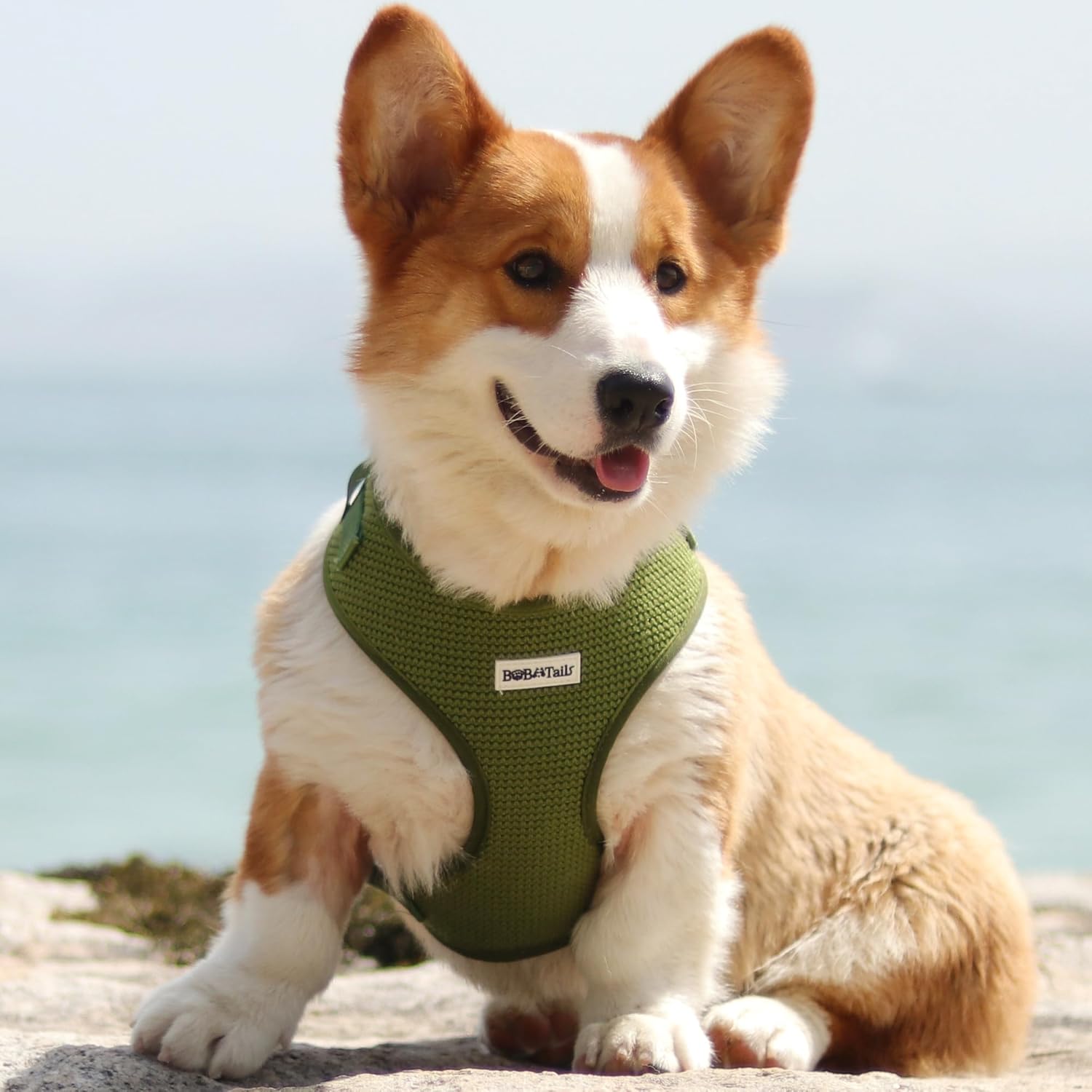 Sweater Dog Harness with D-Ring Leash Clip Set,Adjustable Soft Padded and Cotton Fabric Pet Vest for Medium and Small Dogs (Khaki Green, Small)