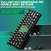AULA WIN60 HE Mechanical Gaming Keyboard Wired,Hall Effect Magnetic Switches,Adjustable Actuation Rapid Trigger,8K Polling Rate,RGB Backlight,60% Percent Keyboard for Mac/Win (BLACK)