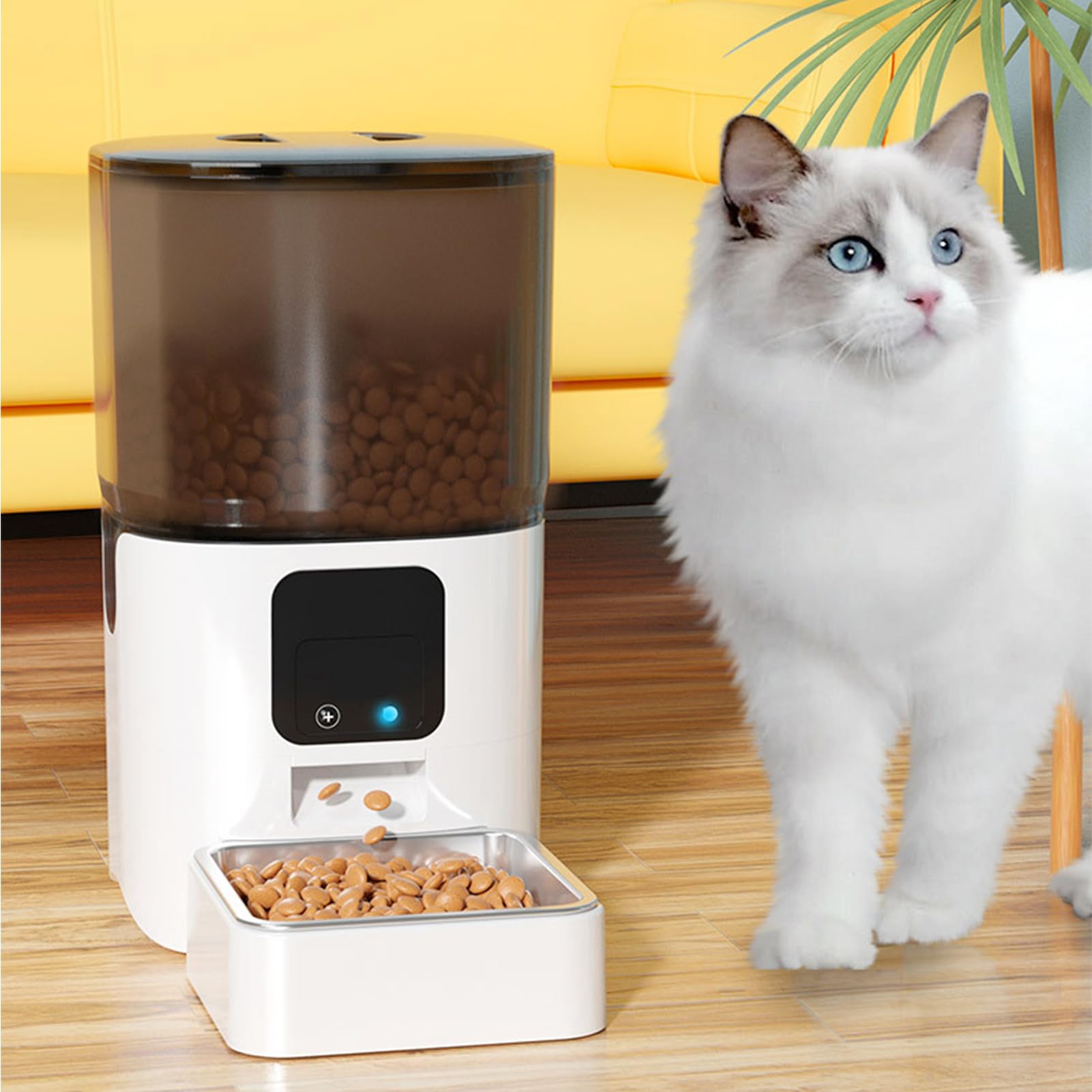 Alimentatore Automatico [Segnaposto] Alimentatore e Distributore di Cibo con Fotocamera 1080P Audio WiFi da 6 Litri Visione Notturna Bidirezionale con APP per Cani e Gatti (Video)