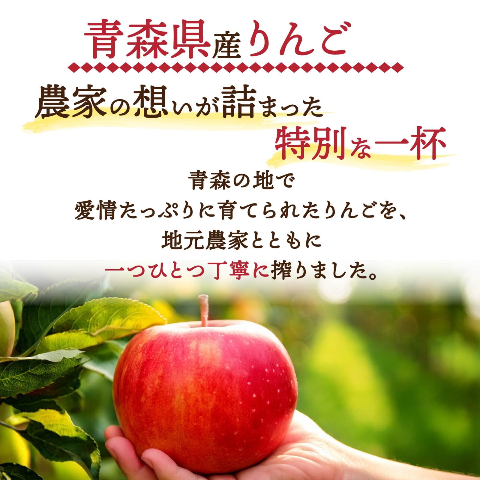 Amazon.co.jp: りんごジュース 1L 6本 100% ストレート 青森県産 弘前