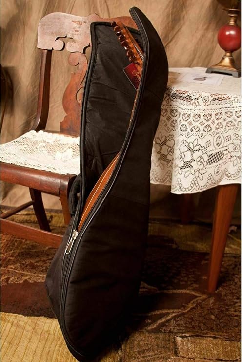 Includes: Roosebeck 8-course Travel Lute W/Padded Gig Bag + Snark Clip-on Chromatic Tuner