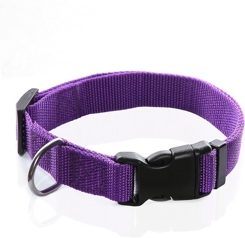 Coleira ajustável para cães em nylon macio, roxo (3/4 x 14–21 pol.)