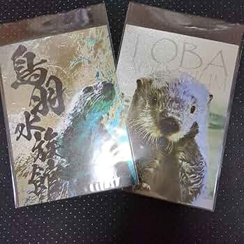 ※値段交渉可　☆鳥羽水族館☆メイ、ポテトとジュゴンのホログラムカード2枚セット 値段交渉可 ☆鳥羽水族館☆メイ、ポテトとジュゴンのホログラムカード2枚