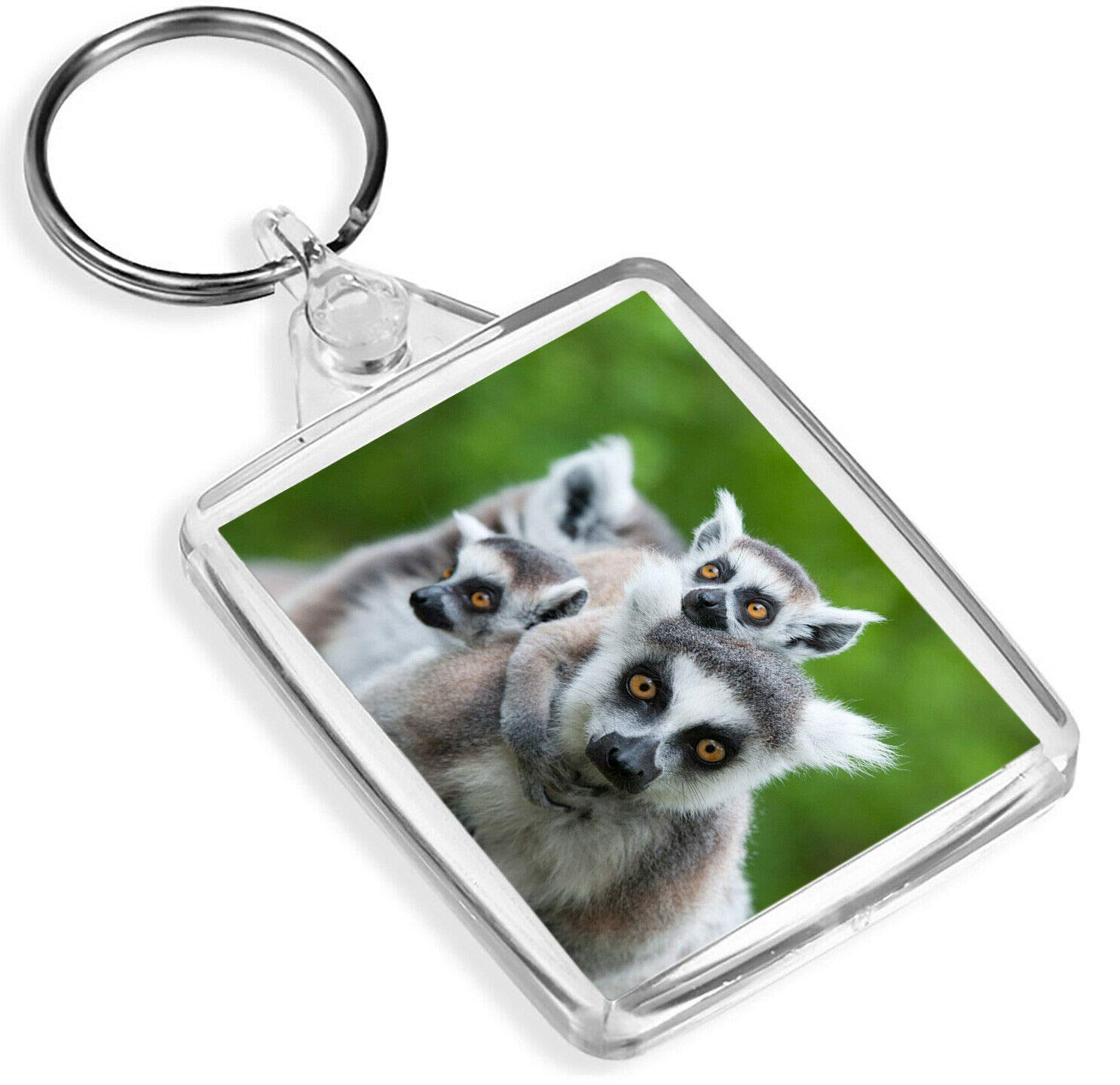 Destination Vinyl Keyrings Unisex Multi Ring Tailed Lemur Keyring - Ip02 - Funny Animal Wild Nature #12666