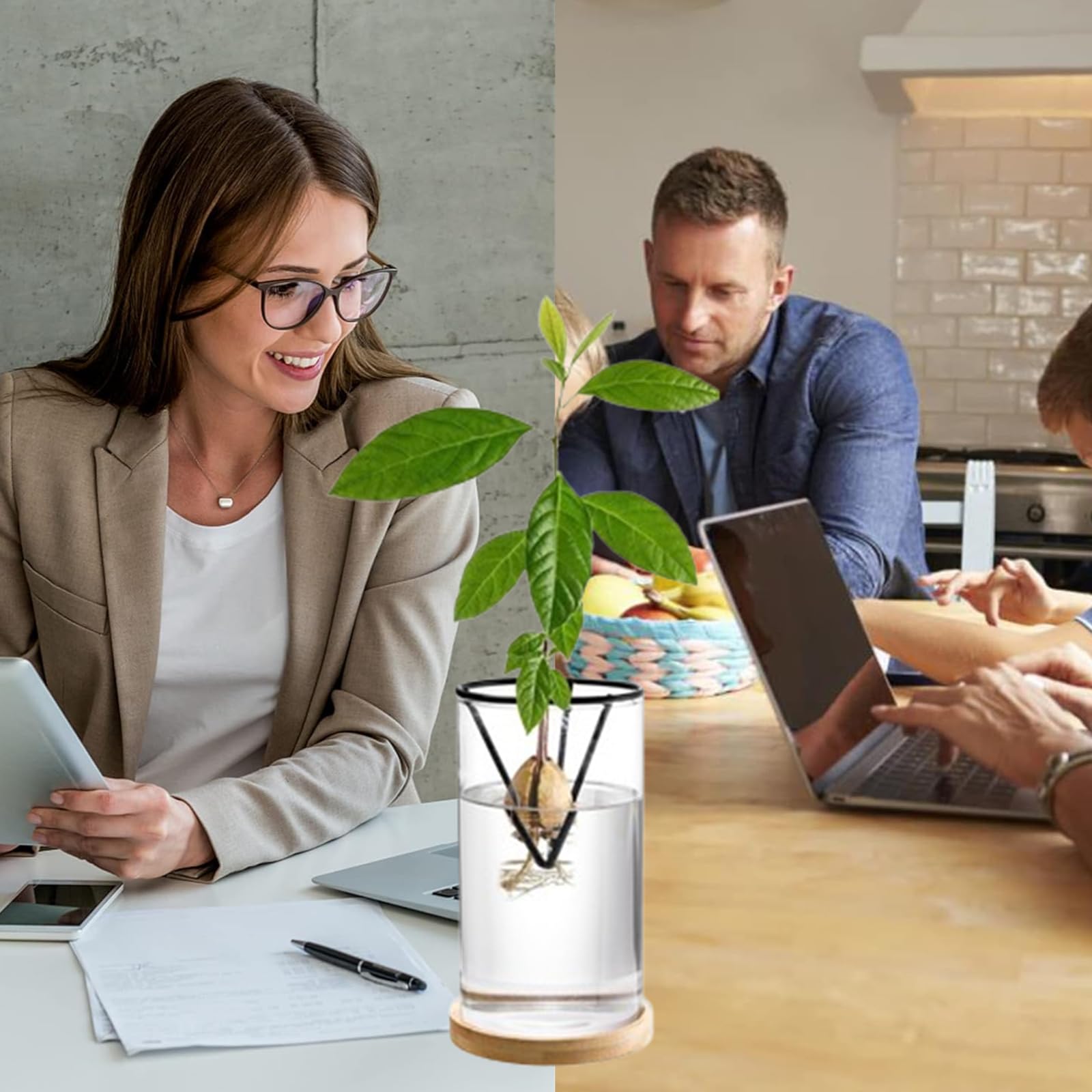 Lot de 4 Kits de Culture d'Avocat Professionnels - Supports de Graines Triangulaires en Métal