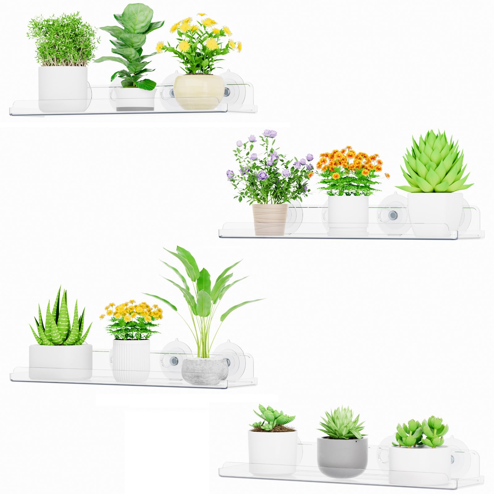 Lifewit Window Plant Floating Shelves 14.6x3.6, 4 Pack Acrylic Suction Cup Shelf, Window Sill Extender for Indoor Succulent Plants, Micro Greens, Seed