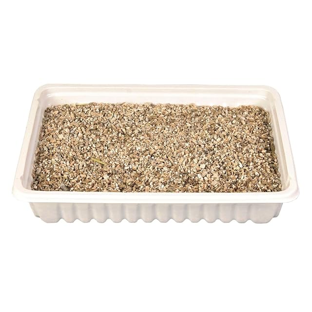 Foto 4 de 4 de Hierba Gatos con Bandeja, 100 g