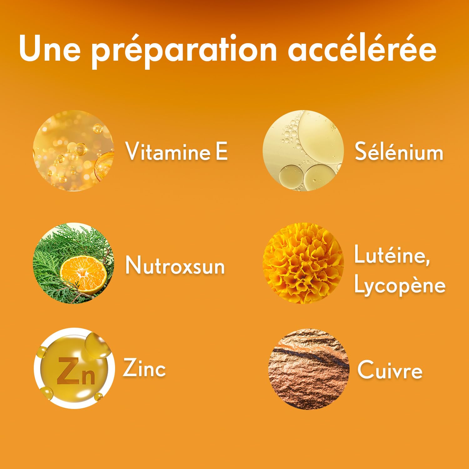 OENOBIOL SUN EXPERT Préparation Solaire Accélérée - Protection Cellulaire Anti-Oxydante - Favorise Un Hâle Intense Et Éclatant - Complément Alimentaire 2X15 Capsules Végétales - Programme 1 Mois