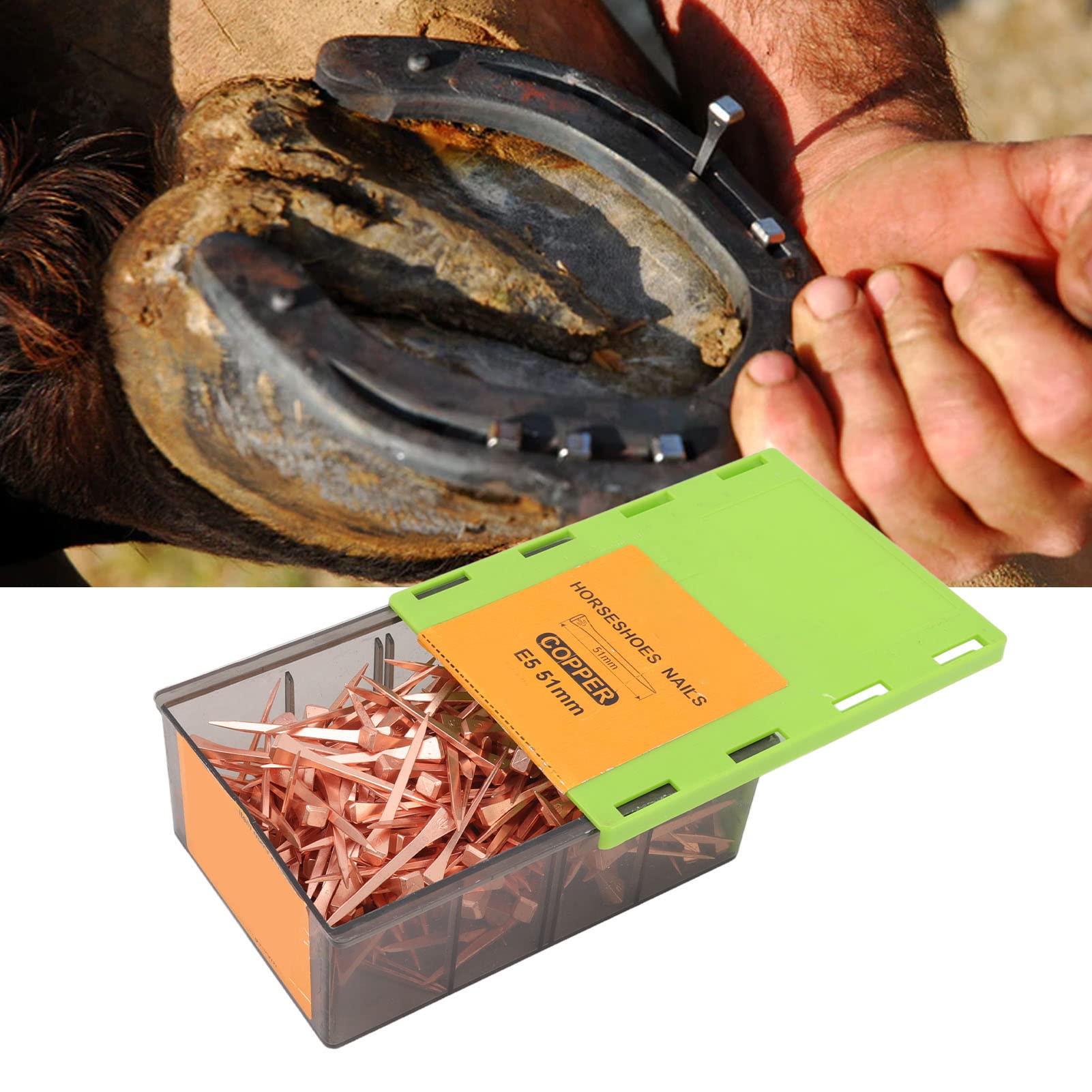 Haofy Clavos de Herradura de Acero, Uso Profesional de Herrador Chapado en Cobre, Suministros para Herradura de Alta Resistencia a la Tracción, 250 Piezas con Caja de Almacenamiento para Ganadería y