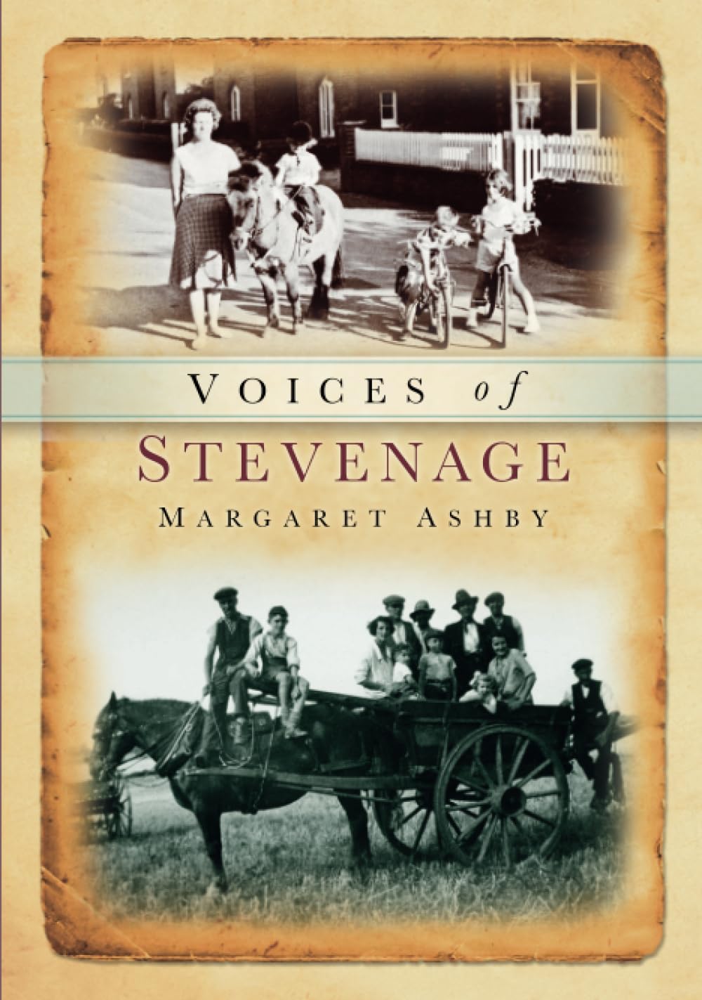 Stevenage Voices (Tempus Oral History Series)