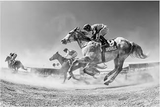 Trademark Fine Art Canvas Wall Art - Sharon Lee Chapman 'Birdsville through the dust' Wall Art for Living Room, Bedroom, or Office Décor
