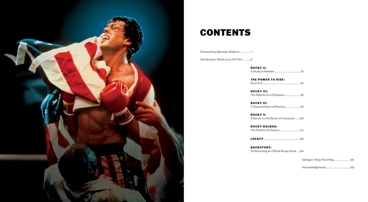 The Fine Art of Rocky: An Artistic Tribute from Screen to Canvas