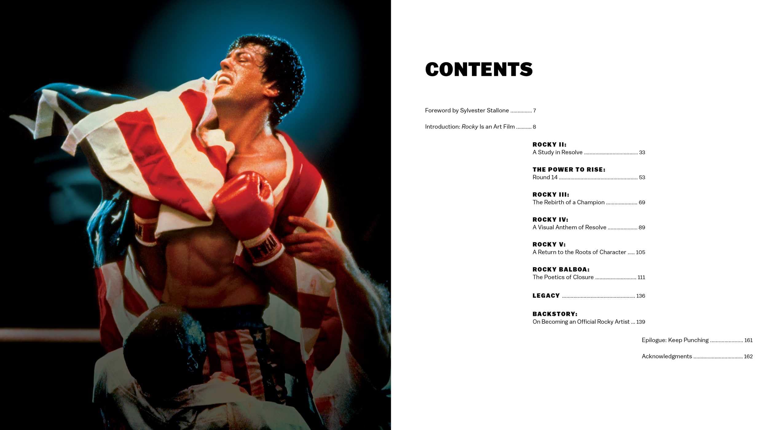 The Fine Art of Rocky: An Artistic Tribute from Screen to Canvas