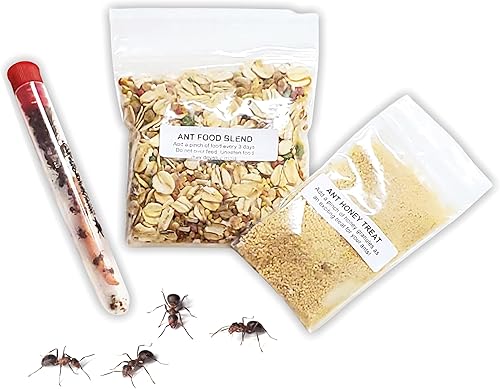 Cupón a Redeem para 2tubos de Live Ant Farm hormigas Ant Farm Kit recambio Uso para gift-giving Si demasiado calientefrío en la zona del recipients