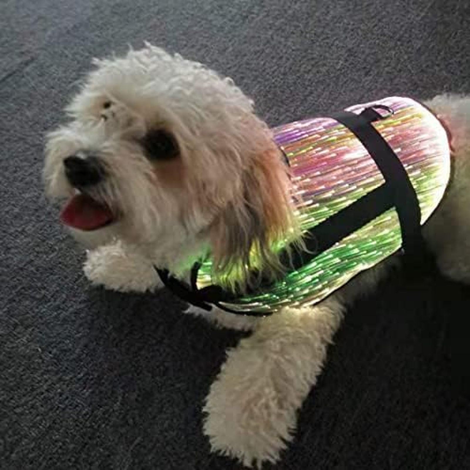 Mascota Perro RGB Ropa Luminosa Colorida, Chaleco Ajustable Arneses Fibra Óptica Ropa para Mascotas Que Brilla Intensamente Arnés para Perros De Fibra Óptica LED Chaleco para Perros Acolchado Suav