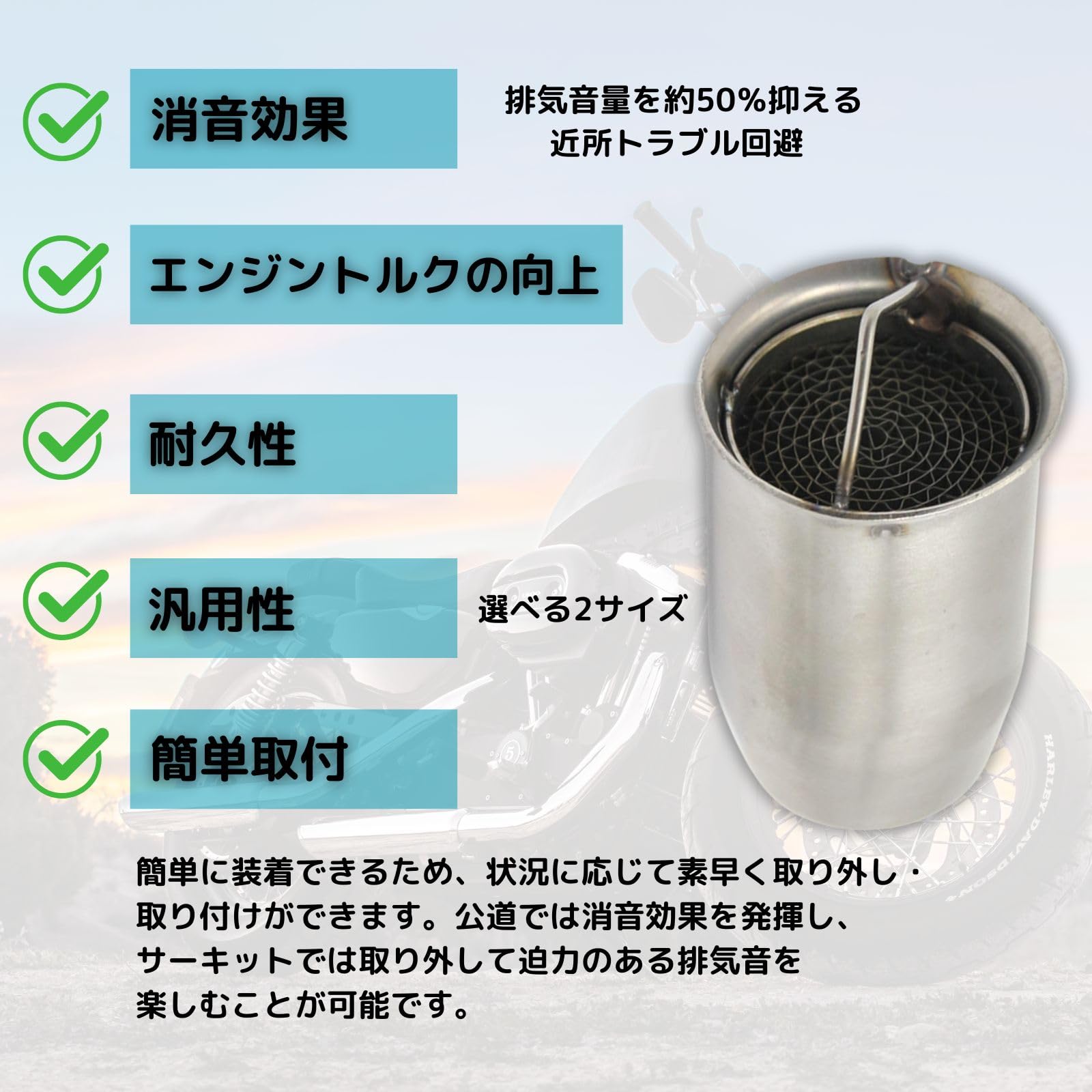サイレンサー 排気ガアネリInox X-Pro + Cat Aprilia Tuono V4 1100 RR