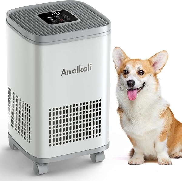 Budget Pet Air Purifier
